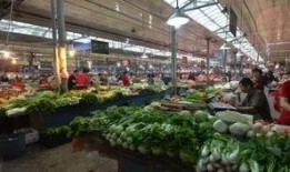 河南菜市场爆料视频最新,新鲜食材与人间烟火气交织的市井生活